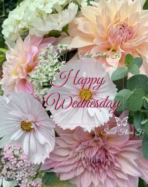 Wednesday Flowers, Wednesday Greetings, Morning Wednesday, Good Morning Wednesday, Good Morning Sunshine Quotes, Sunshine Quotes, Good Morning Sunshine, Morning Friends, Good Morning Friends