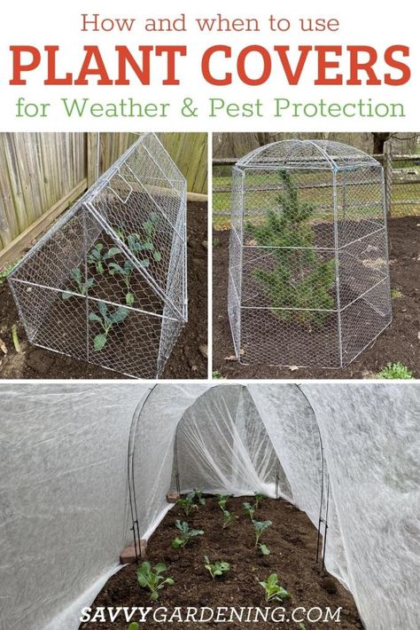 Vegetable Garden Protection, Cabbage Plant Covers, Tomato Covers Garden, Plant Netting Ideas, Garden Mesh Cover, Garden Critter Protection, Protect Tomato Plants From Animals, Bug Netting Over Garden, Protecting Vegetable Garden From Animals