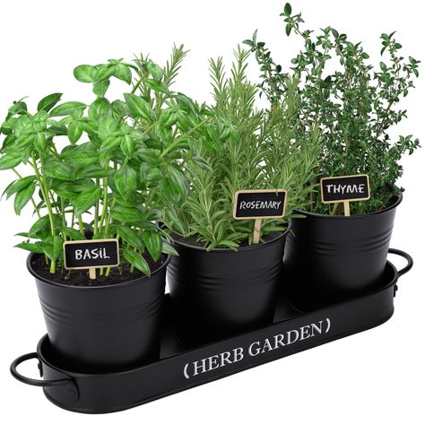 PRICES MAY VARY. 【An indoor herb garden】​​Our herb planter is the perfect solution for creating an indoor herb garden. It is a planter set with a tray, and it does not include plants, seeds, mini chalkboards, or any other extras. These planters are designed specifically for herbs and are suitable for indoor or outdoor use. Made of durable metal with a glossy white finish, they are not only functional but also add a farmhouse touch of style to your space. 【Window herb garden kit 】The set features Window Pots, Windowsill Herb Garden, Window Herb Garden, Pots For Indoor Plants, Herb Garden Planter, Outdoor Farmhouse, Outdoor Herb Garden, Growing Basil, Herb Garden Kit