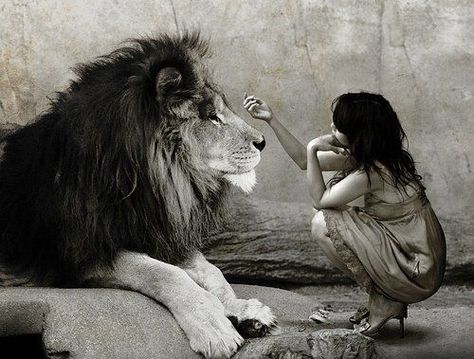 "Courage is resistance to fear, mastery of fear, not absence of fear." Mark Twain Supernova Empath, Leo Aesthetic, Lion Love, Fearless Women, Lion Art, After Life, Lion Of Judah, A Lion, Empath