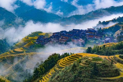 Terraced rice field in Longji mountains, China Banaue Rice Terraces, Rice Crop, Chinese Motifs, Dream Building, Terraced Landscaping, Banaue, Rice Paddy, Field Wallpaper, Rice Field