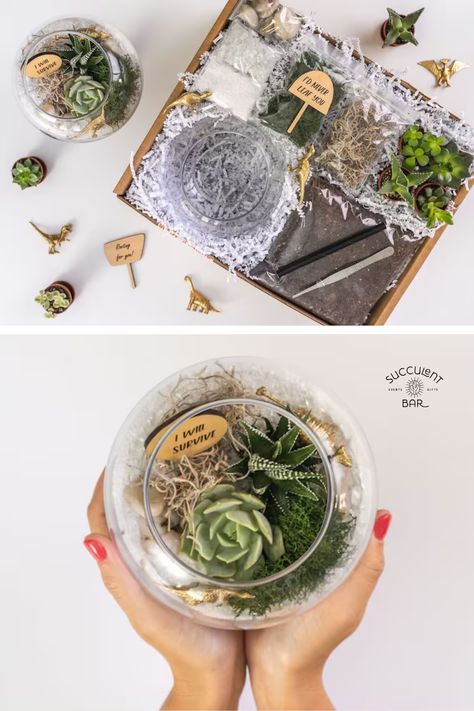 Order this unique, inspirational, succulent terrarium planting kit for yourself or for a virtual team building activity. These kits are easy and fun to assemble while adding a pop of festivity and greenery to any space. Succulent Bar is trusted by companies like Google, Facebook, Pinterest, Twitter and more, to create unique team-building experiences! Ready to plan yours?! Succulent Bar Party, Staff Christmas Party Ideas, Succulent Bar, Succulent Workshop, Succulent Party Favors, Holiday Party Activities, Virtual Team Building, Fun Team Building Activities, Team Building Activity