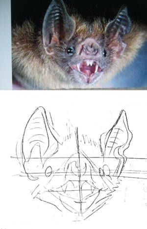 Head Drawing Tutorial, Bat Anatomy, Bat Sketch, Bat Clip Art, Head Drawing, Bat Art, Drawing Lesson, Arte Van Gogh, Cute Bat