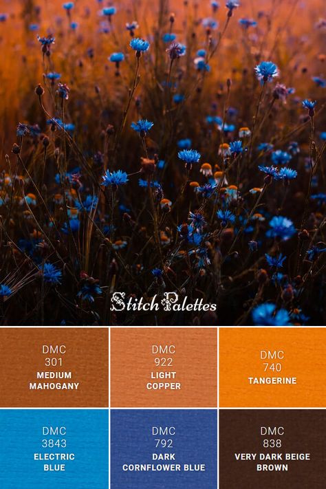 Unlikely Color Combinations, Navy Orange Brown Color Palette, Orange Brown Blue Color Scheme, Dark Blue Complimentary Colors, Deep Blue And Orange Color Palette, Copper Blue Color Scheme, Complementary Colors To Navy Blue, Cobalt Blue And Brown Color Palette, Copper Colour Combinations