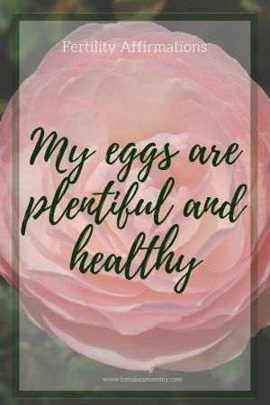 Manifest Pregnancy, Ttc Trying To Conceive, Fertility Affirmations, Pregnancy Affirmations, Ivf Journey, Fertility Foods, Pregnancy Milestones, Fertility Diet, Fertility Boost