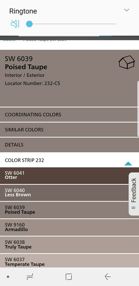 Sherwin Williams Poised Taupe, Small Room Paint Color, Taupe Dining Room, Stone Colour Paint, Mauve Paint Colors, Taupe Color Schemes, Small Room Paint, Poised Taupe, Taupe Bathroom