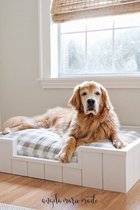 Get ready to elevate your snuggle game with these 10 irresistibly cozy dog bed choices for your furry friend. From plush oversized cushions to stylish memory foam designs, these cuddle-worthy options will have your pup drifting off into dreamland in pure comfort. Treat your loyal companion to the ultimate relaxation experience with one of these top-rated beds, perfect for long snuggle sessions and afternoon naps. Whether your pup prefers a donut-shaped cuddler or a luxurious lounging mat, t... Stylish Dog Beds, Useful Ideas, Cozy Dog Bed, Cozy Dog, Afternoon Nap, Sleeping Dogs, Dog Bed, Top Rated, Memory Foam