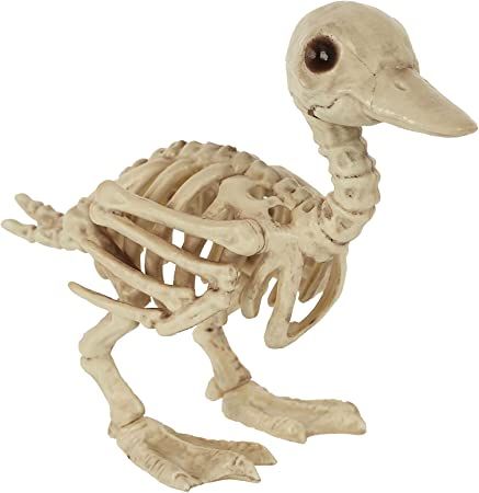 Crazy Bonez Skeleton Baby Duck Duck Skeleton, Skeleton Baby, Halloween Skeleton Decorations, Duck Decor, Animal Skeletons, Halloween Express, Skeleton Decorations, Baby Ducks, Halloween Displays