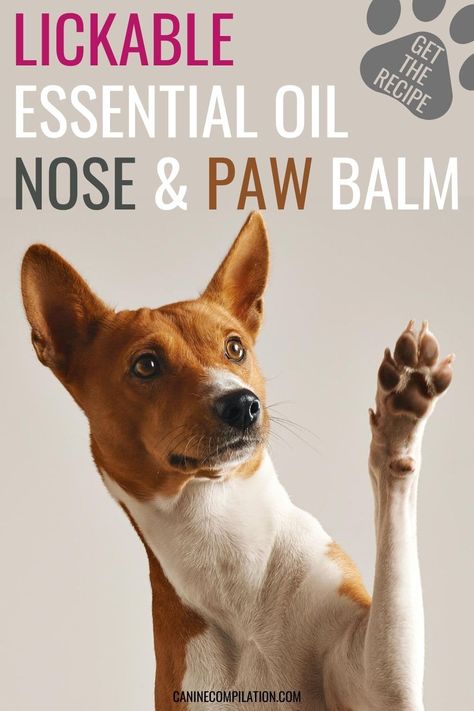 Paw Balm Recipe, Essential Oils For Dogs, Essential Oils For Fleas, Homemade Wipes, Dog Homemade, Dog Balm, Dog Paw Balm, Essential Oils Dogs, Itchy Dog