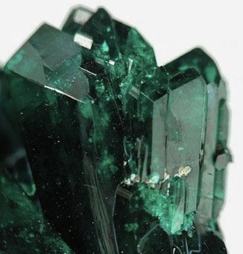 Emerald Green — Upspring Green Thing Green Crystals, Gratitude, Crystals, Green