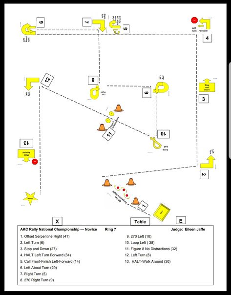 Dog Rally Courses, Dog Course, Rally Obedience, Dog Agility Course, Dog Sports, Dog Tricks, Dog Fun, Dog Games, Dog Hacks