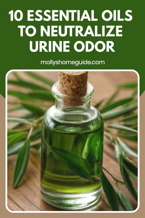 Discover the power of essential oils for urine smell with this DIY pet odor remover! Say goodbye to pet odor and remove cat pee smell permanently. Learn how to clean carpet with essential oils for an all-natural pet urine odor removal. Find out how to eliminate urine smell in the bathroom and get rid of cat urine smell naturally. Try this natural carpet cleaner spray to bid farewell to dog pee from carpet and cat smells for good! How To Remove Cat Pee Smell, Essential Oils For Cat Urine, Diy Urine Smell Remover, Get Rid Of Urine Smell In Bathroom, Remove Dog Pee Smell From Carpet, How To Remove Urine Smell From Carpet, How To Get Rid Of Dog Urine Smell, How To Get Rid Of Cat Urine Smell, How To Get Dog Urine Smell Out Of Carpet