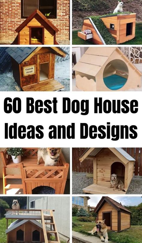 Cute Dog Houses Outdoor Diy, Free Dog House Plans, Easy Dog House Diy Outdoor, Large Dog House Diy Plans, Dog House Painting Ideas, Dog Shelter Ideas Outdoor, Diy Dog House Outdoor, Xl Dog House, Amazing Dog Houses