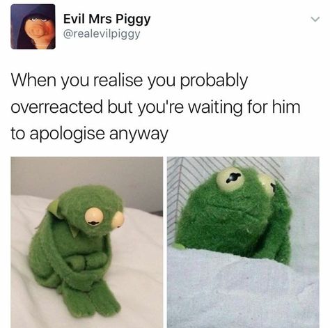 Funny Kermit Memes, Kermit Meme, Funny Boyfriend Memes, Kermit Funny, Funny Relationship Memes, Boyfriend Memes, Boyfriend Humor, Relationship Memes, When You Realize