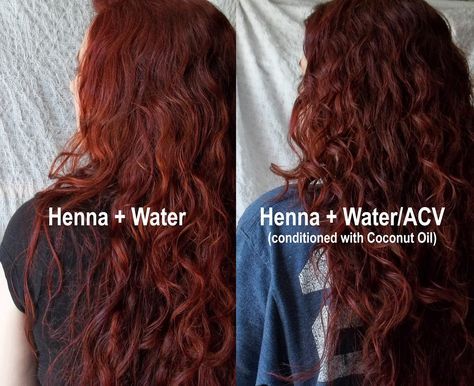 Red Henna Hair, Hair Colour For Green Eyes, Henna Hair Color, Brown Henna, Henna Color, Red Henna, Hair Color Unique, Hair Dyes, Henna Hair