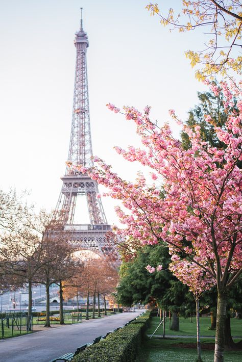 Paris in spring is magical. Cherry blossoms are amazing ! Torre Eiffel Paris, Paris In Spring, Paris Wallpaper, Paris Photo, Romantic Places, The Eiffel Tower, Alam Yang Indah, Paris Travel, Dream Vacations