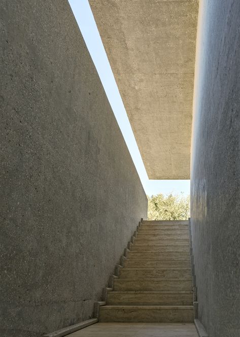 Socotra, Ground House Design, Subterranean Architecture, Cool Architecture, Planter Beds, Light Study, Stone Architecture, Brutalist Architecture, Ground Floor Plan