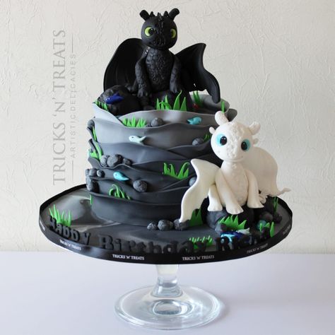 With the Nightfury and Lightfury Toothless Cake, Dragon Birthday Cakes, Dragon Cakes, Dragon Birthday Parties, Dragon Cake, Dragon Birthday, Dragon Party, Harry Potter Cake, Gateaux Cake