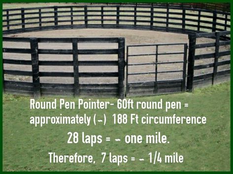 Round Pen Ideas, Diy Round Pen, Mountain Farming, Equestrian Diy, Round Pens For Horses, Horse Riding Arena, Florida Farm, Training Horses, Horse Farm Ideas