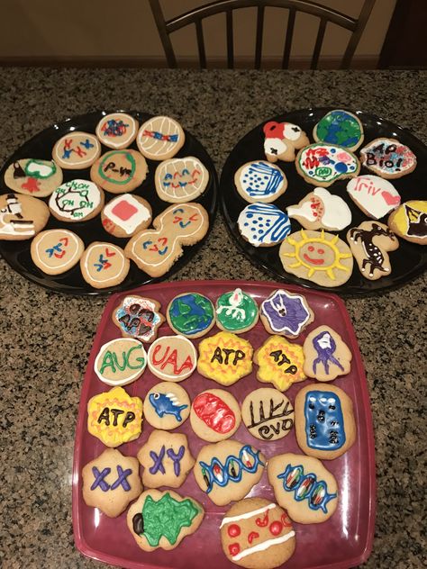 Biology Themed Cookies! Biology Themed Party, Biology Cake Ideas, Biology Cookies, Biology Party, Biology Cake, Cell Cake, Bio Project, Food Garnish, Ap Biology