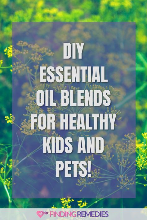 DIY Essential Oil Blends for Healthy Kids and Pets! Pet Safe Essential Oils, Diy Essential Oil Blends, Essential Oil Deodorant, Natural Decongestant, Natural Pet Care, Diluting Essential Oils, Are Essential Oils Safe, Essential Oils For Kids, Kids And Pets