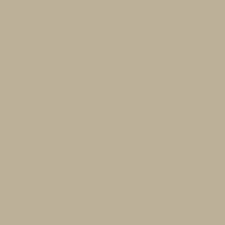 Avenue Tan SW 7543 - Timeless Color Paint Color - Sherwin-Williams Slaked Lime Dark, Tan Sherwin Williams, Painting Vinyl Siding, Slaked Lime, Tan Paint Colors, Tan Paint, Porch Paint, Colour Swatches, Siding Paint