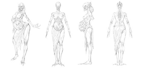 Pregnant Monster, Female Monster, Female Sketch, Character Design, Sketch, Art Design, Humanoid Sketch, Design, Art