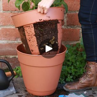 Easy Harvest Potato Planter | This easy-harvest potato planter is perfect for small-space gardening. 🌿 | By Nifty OutdoorsFacebook Planter Gardening, Raised Container Garden, Potato Planter, Gemüseanbau In Kübeln, Potato Planters, Planting Potatoes, Tanaman Pot, Backyard Vegetable Gardens, Garden Bulbs