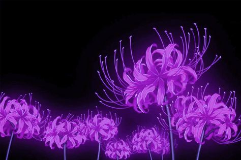 Pc Desktop Wallpaper Hd 1080p Aesthetic Purple Anime, Dark Purple Aesthetic Computer Wallpaper, Purple Anime Wallpaper Laptop, Purple Spider Lily Wallpaper, Purple Wallpaper For Laptop High Quality, Black And Purple Wallpaper Laptop, Dark Purple Wallpaper Pc, Dark Purple Wallpaper Laptop, Purple Keyboard Wallpaper