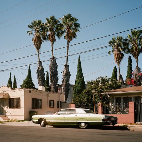 Terrence Loves You, East Hollywood, Lana Del Rey Albums, Lana Del Rey Vinyl, Reservoir Dogs, Miss America, Vintage Americana, City Of Angels, California Dreamin'