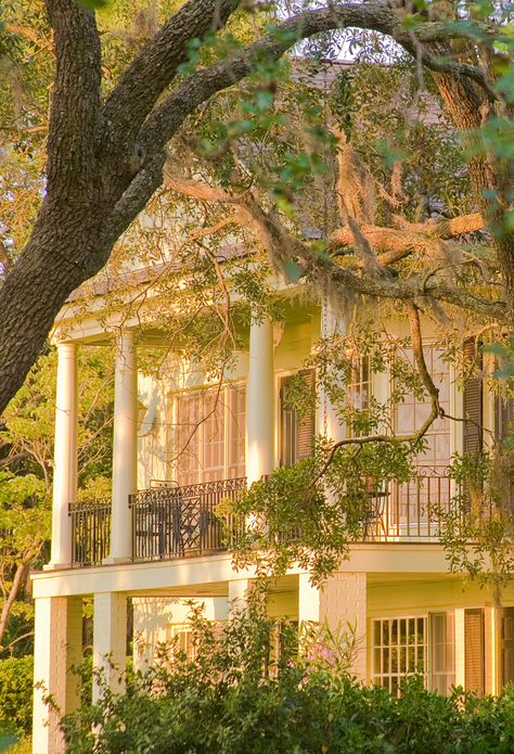 Beaufort South Carolina, Southern Mansions, Southern Plantations, Southern Living Magazine, Antebellum Homes, Southern Homes, Hus Inspiration, Southern Home, Country Style Homes