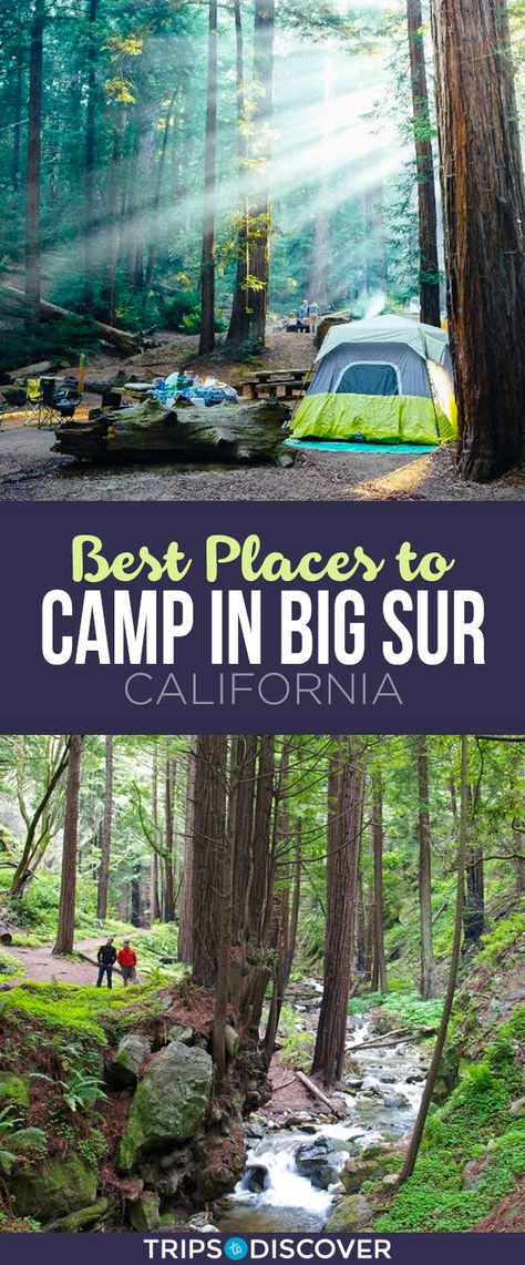 One of the most popular places to camp in California is the beautiful area of Big Sur. Camping Big Sur, Redwood Vacation, Big Sur Camping, Adventure Truck, Camping In California, Camping California, California Coast Road Trip, Texas Beaches, Hiking Places