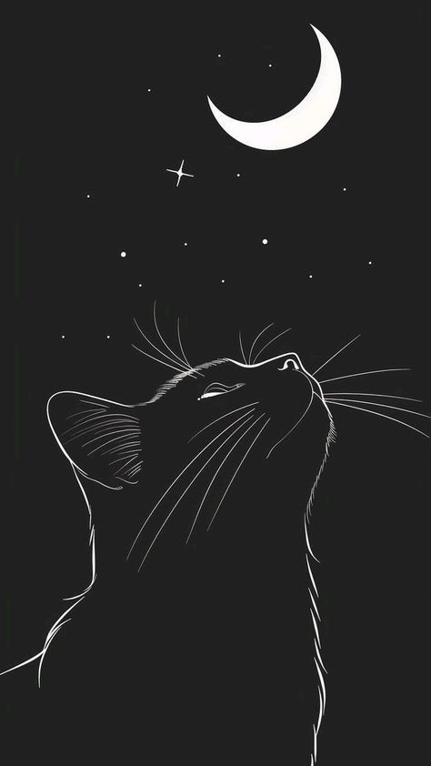 Cat Background Wallpapers, Black Cat Wallpaper Aesthetic, Cat Black Wallpaper, Phone Backgrounds Black, Cats Wallpaper Aesthetic, Black Cat Wallpaper, Image Zen, Wallpaper Gatos, Black Phone Background