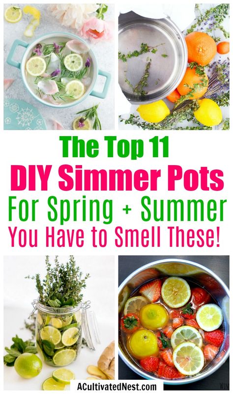 11 DIY Simmer Pot Recipes for Spring and Summer- An easy (and all-natural) way to make your home smell great this spring and summer is with these wonderful smelling DIY simmer pot recipes! | natural air freshener, how to make your home smell good, chemical-free DIY air freshener, #DIY #ecofriendly #greenliving #homemaking #potpourri #ACultivatedNest Diy Simmer Pot, Summer Pots, Recipes For Spring, Homemade Potpourri, Simmer Pot Recipes, Stove Top Potpourri, Simmering Potpourri, Homemade Air Freshener, Potpourri Recipes