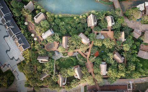 Resort Plan, Steven Holl, Eco Hotel, Guilin, Tree Canopy, Hotel Project, Chongqing, Farm Stay, Sanya