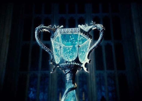 Tri Wizard Cup Triwizard Cup, Harry Potter Goblet Of Fire, Harry Potter Goblet, Felix Felicis, Triwizard Tournament, Tapeta Harry Potter, Ravenclaw Aesthetic, Warner Bros Studios, Neville Longbottom