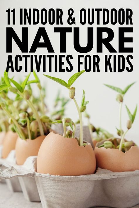 Outdoor Nature Activities For Kids, Nature Activities For Kids, Outdoor Nature Activities, Kids Nature Activities, Classroom Lesson Plans, Teaching Stem, Spring Kids, Stem For Kids, Nature Walk