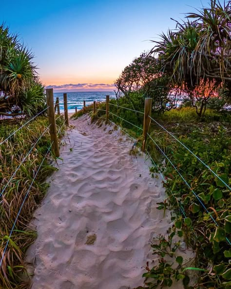 Sunshine Coast Australia Aesthetic, Australia Sunshine Coast, Sunshine Coast Aesthetic, Australian Beach Aesthetic, Aussie Aesthetic, Beach Pathway, Australia Aesthetic, Australian Beaches, Melbourne Trip