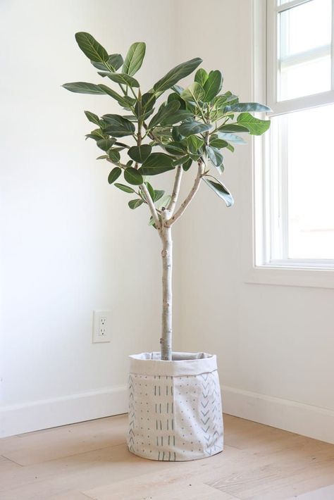 DIY fabric planter with painted mud cloth patterns. Transform your plants into works of art with our DIY Easy No-Sew Fabric Planter! This tutorial will guide you through creating stunning fabric plant pots without any sewing. It's a budget-friendly solution that allows you to customize the size to fit your plants perfectly. Embrace your crafty side and elevate your indoor or outdoor space with these eye-catching fabric planters. Let your green thumb and creativity flourish! Living Room Planters, Fabric Planters, Fabric Plant, Cloth Patterns, Planter Cover, Indoor Trees, Plant Vase, Drop Cloth, Large Planters