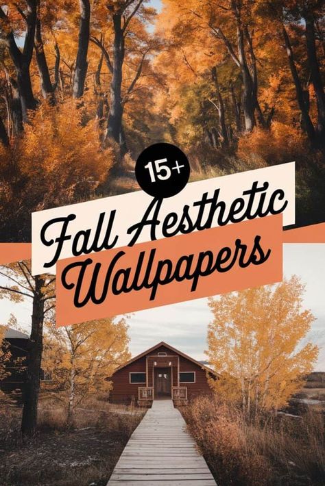 Embrace the spirit of autumn with our breathtaking fall aesthetic wallpapers. Our collection showcases the vibrant hues of falling leaves. the cozy warmth of forest scenes. and the enchanting beauty of nature's seasonal transformation. With each swipe. experience the tranquility of a pumpkin patch. the crispness of autumn air. and the captivating allure of warm tones. https://ostrali.com/fall-aesthetic-wallpaper/ Autumn Rain, Sunset Silhouette, Diy Fall Wreath, New York Aesthetic, Falling Leaves, Vintage Fall, Fall Aesthetic, Digital World, Woodland Creatures