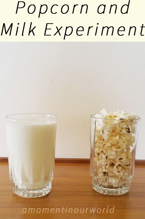 Popcorn and Milk Experiment {From Farmer Boy} Cold Jokes, Food Science Experiments, 4h Crafts, Milk Experiment, Milk Science Experiment, Popcorn Theme, Science Experience, Science For Toddlers, Literature Activities