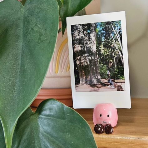 Pink polymer clay marshmallow polaroid photo holder 🥰 DM to order if you live in Australia. #polymerclay #polaroid #polaroidphotoholder #clayart #cute #marshmallows #craft Clay Polaroid Stand, Polymer Clay Picture Holder, Polymer Clay Polaroid Holder, Ceramic Polaroid Holder, Polymer Clay Photo Holder, Clay Photo Stand, Air Dry Clay Photo Holder, Clay Polaroid Holder, Clay Picture Holder