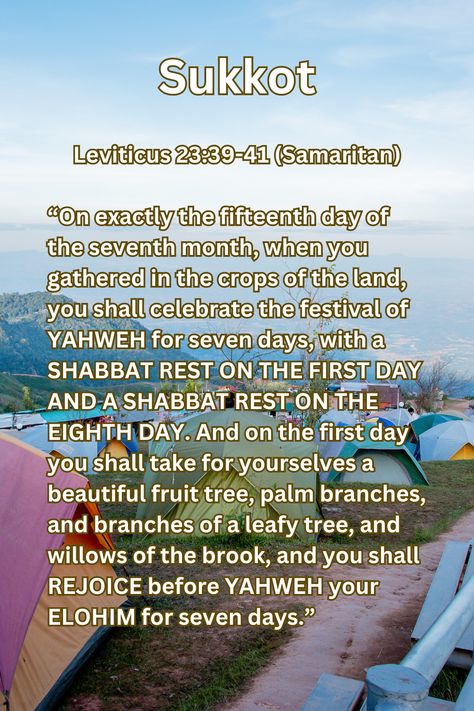 Eight Day Closing Assembly Numbers 29:35 (Aramaic)” Verse 35 “On the EIGHTH DAY you shall have a solemn assembly, you shall do NO MANNER OF HARD WORK; but you shall offer burnt offerings, a sacrifice made by fire, of a SWEET SAVOR TO YAHWEH, one bullock, Leviticus 23, Burnt Offerings, Palm Branch, Sukkot, Beautiful Fruits, The Eighth Day, Torah, The Seven, Fruit Trees