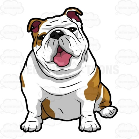 English Bulldog Care, Bulldog Drawing, Bulldog Clipart, Bulldog Tattoo, Draw Cartoon, English Bulldog Puppies, Bulldog Art, Old English Bulldog, English Bulldog Puppy