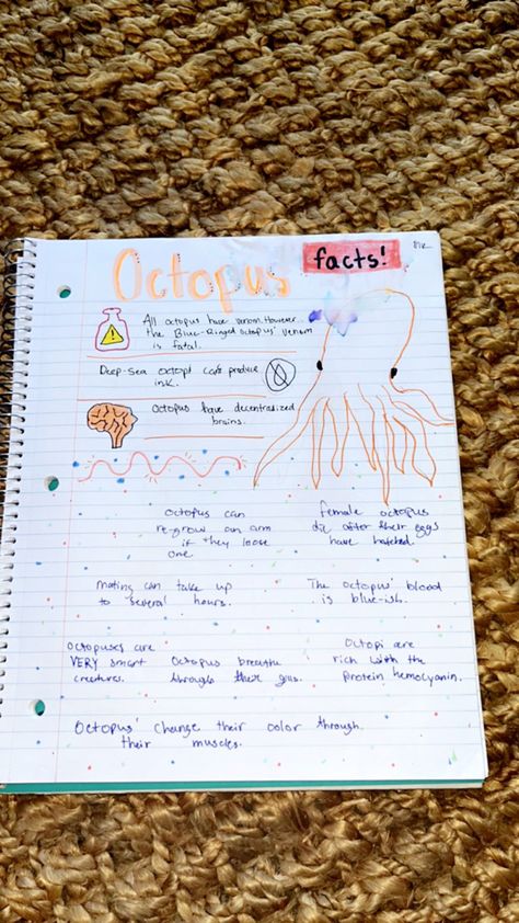 Marine Biology Notes Turtle, Marine Biology Study Notes Aesthetic, Marine Biology College, Marine Biologist Aesthetic Notes, Marine Biology Journal Pages, Marine Biology Notebook, Zoology Aesthetic Notes, Marine Biology Journal, Marine Biologist Notes