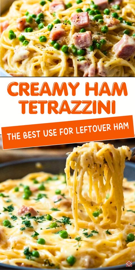 Ham tetrazzini is the perfect way to use up leftover holiday ham! Creamy pasta, melted cheese, and savory ham come together in this comforting dish. Quick to prepare and satisfying for any night. Save this pin or click to explore the recipe now! Recipes To Use Up Leftover Ham, Easy Meals With Ham, Recipe With Ham Leftovers, Tortellini And Ham Recipes, Meals With Sliced Ham, What To Make With Leftover Spiral Ham, Using Ham Leftovers, Spaghetti And Ham Recipes, Ham Linguine Recipes