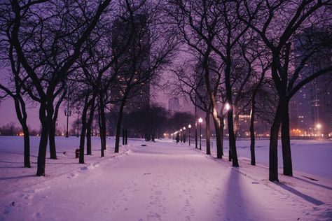 Reflecting purple snow city lights outdoors trees snow purple lavender Snow Pictures, Purple Christmas, Winter Scenery, Winter Aesthetic, Spanish Quotes, Christmas Aesthetic, Purple Aesthetic, Season Colors, Outdoor Adventure