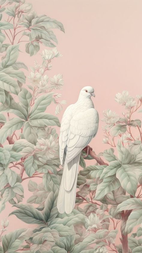 Wallpaper dove animal pigeon bird. | free image by rawpixel.com / Bambamfefe Pigeon Wallpaper, Dove Animal, Pigeon Art, Parrot Wallpaper, Cockatoo Bird, Dove Painting, Pigeon Bird, Green Velvet Fabric, Illustration Wallpaper