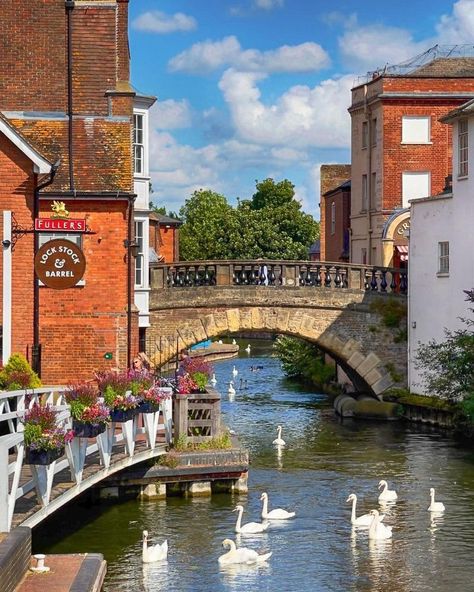 Newbury | Photographe : Anguskirk via @we.love.england sur Instagram Newbury England, Walking Trails, Small Island, Great Britain, The South, Our Love, Places To Go, England, Walking