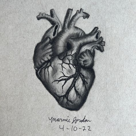 Human Heart Pencil Drawing, Tone Drawing Pencil, Heart Charcoal Drawing, Graphite Drawings Ideas, Simple Charcoal Drawing, Heart Pencil Drawing, Charcoal Pencil Art, Gray Drawing, Graphite Pencil Drawings